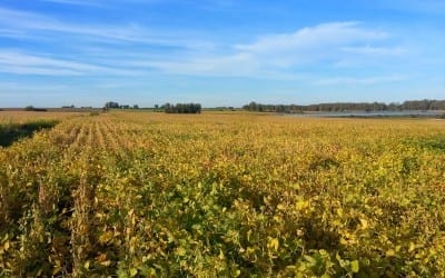 Uruguay Agricultural Land